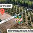  Земельный участок for sale in Ban Khai, Районг, Ban Khai, Ban Khai