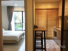 1 Bedroom Condo for rent at Life Sukhumvit 48, Phra Khanong, Khlong Toei, Bangkok, Thailand