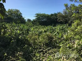  Terrain for sale in Atlantida, La Ceiba, Atlantida