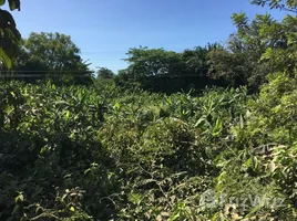  Terrain for sale in Honduras, La Ceiba, Atlantida, Honduras