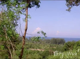 ขายที่ดิน ใน สาคู, ภูเก็ต, สาคู, ถลาง, ภูเก็ต