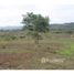  Land for sale in Santa Elena, Santa Elena, Manglaralto, Santa Elena