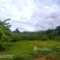  Land for sale in Mueang Kaeo, Chiang Mai, Mueang Kaeo, Mae Rim