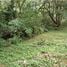  Land for sale in Sora, Chame, Sora