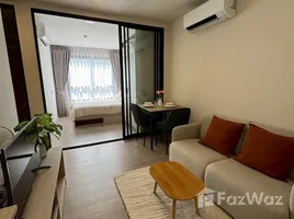1 Bedroom Condo for rent at Dcondo Reef Phuket, Kathu, Kathu, Phuket