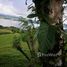  Grundstück zu verkaufen in Tilaran, Guanacaste, Tilaran