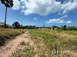 ขายที่ดิน ใน บ่อผุด, สุราษฎร์ธานี, บ่อผุด, เกาะสมุย