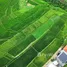  Terreno (Parcela) en venta en Abiansemal, Bali, Abiansemal, Badung