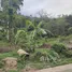 ขายที่ดิน ใน ภูเก็ต, ฉลอง, เมืองภูเก็ต, ภูเก็ต
