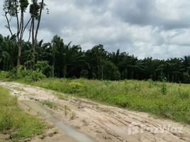  Land for sale in Krabi, Phela, Khlong Thom, Krabi