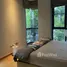 2 Bedroom Condo for rent at Tree Condo Sukhumvit 50, Phra Khanong, Khlong Toei, Bangkok