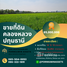  Земельный участок for sale in Khlong Nueng, Патумтани, Khlong Nueng