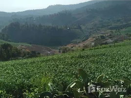  Grundstück zu verkaufen in Pai, Mae Hong Son, Mae Na Toeng, Pai