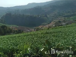 在夜丰颂出售的 土地, Mae Na Toeng, Pai, 夜丰颂