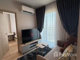 อพาร์ทเม้นท์ 2 ห้องนอน ให้เช่า ในโครงการ นิว เมกา พลัส บางนา, บางแก้ว, บางพลี, สมุทรปราการ