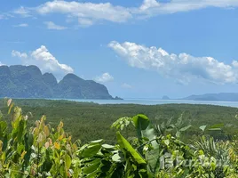  토지을(를) FazWaz.co.kr에서 판매합니다., Khlong Khian, 타쿠아 텅, Phangnga, 태국