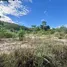  Grundstück zu verkaufen in Thap Tai, Hua Hin, Thap Tai, Hua Hin, Prachuap Khiri Khan