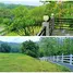 7 Bedroom House for sale in Phrae, Mae Chua, Den Chai, Phrae