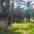 在FazWaz.cn出售的 土地, Ao Nang, Mueang Krabi, 甲米, 泰国