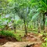 在印度尼西亚 / 印度尼西亞出售的 屋, Ubud, Gianyar, 里岛, 印度尼西亚 / 印度尼西亞