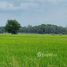  Land for sale in Phitsanulok, Phrom Phiram, Phrom Phiram, Phitsanulok