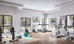 图片 2 of the Communal Gym at Jadeel