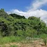  Land for sale in Sao Hai, Saraburi, Muang Ngam, Sao Hai