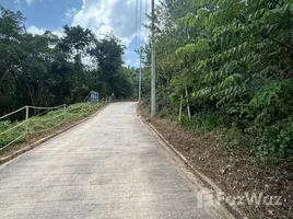  Земельный участок for sale in Липа Нои, Сураттани, Липа Нои, Самуи