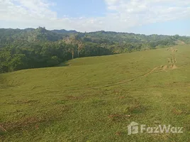  Grundstück zu verkaufen im Puerto Plata, San Felipe De Puerto Plata