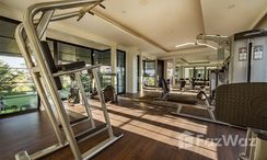 Photos 2 of the Communal Gym at Crystal Solana