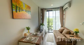 ยูนิตมือสองและให้เช่า