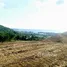  Terrain for sale in Phuket, Choeng Thale, Thalang, Phuket