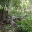  Land for sale in Bo Phut, Koh Samui, Bo Phut