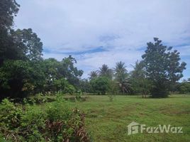 ขายที่ดิน ใน สามร้อยยอด, หัวหิน, สามร้อยยอด, สามร้อยยอด, ประจวบคีรีขันธ์