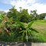  Land for sale in Si Racha, Chon Buri, Bang Phra, Si Racha