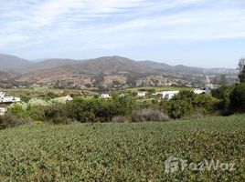  Grundstück zu verkaufen im Zapallar, Puchuncavi, Valparaiso, Valparaiso