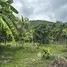  Land for sale in Taling Ngam, Surat Thani, Taling Ngam, Koh Samui