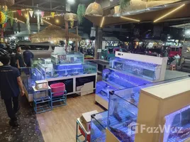 ขายพื้นที่ค้าปลีก 1 ห้องนอน ใน ป่าตอง, ภูเก็ต, ป่าตอง