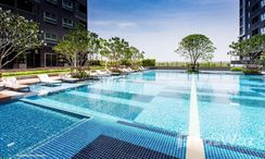 Photos 3 of the Communal Pool at The Trust Condo @BTS Erawan