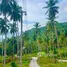  Land for sale in Taling Ngam, Surat Thani, Taling Ngam, Koh Samui