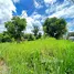  Land for sale in Thailand, Thung Pi, Mae Wang, Chiang Mai, Thailand