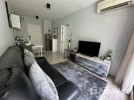 คอนโด 1 ห้องนอน ให้เช่า ในโครงการ สเคป 3, วิชิต