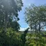  Land for sale in Bo Phut, Surat Thani, Bo Phut