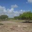  Terreno for sale in Fortim, Ceará, Maceio, Fortim