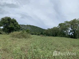 ขายที่ดิน ใน ปากน้ำปราณ, หัวหิน, ปากน้ำปราณ, ปราณบุรี, ประจวบคีรีขันธ์