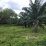  Land for sale in Bang Saphan, Prachuap Khiri Khan, Ron Thong, Bang Saphan