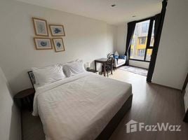 Studio Apartment for rent at THE BASE Central Phuket, Wichit, Phuket Town