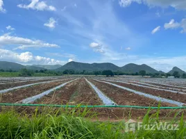  Terreno (Parcela) en venta en Wang Dong, Mueang Kanchanaburi, Wang Dong