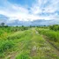  Land for sale in Kan Chu, Phetchabun, Kan Chu