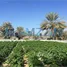  Al Rahba에서 판매하는 토지, Al Muneera